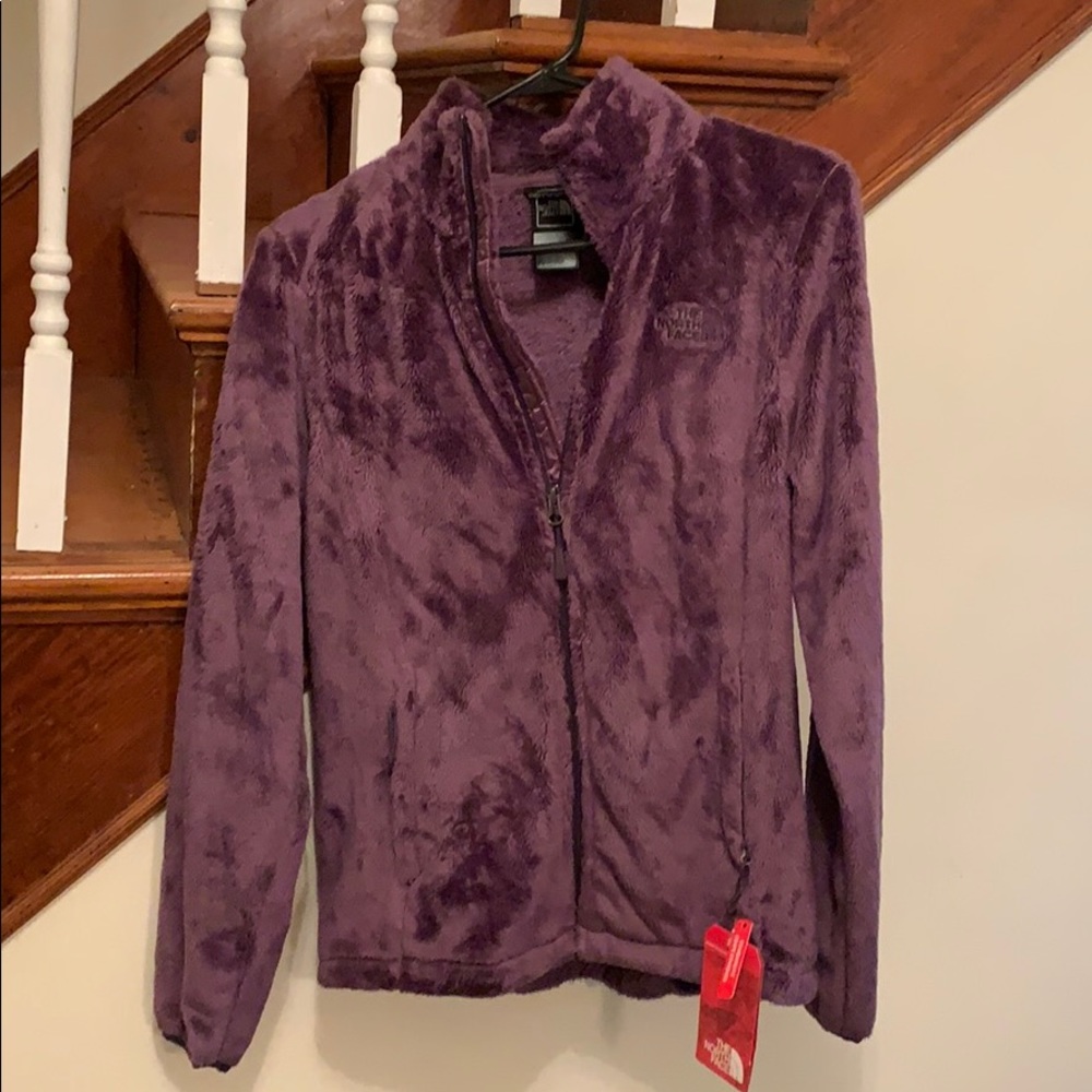 The North Face Osito 2 Jacket